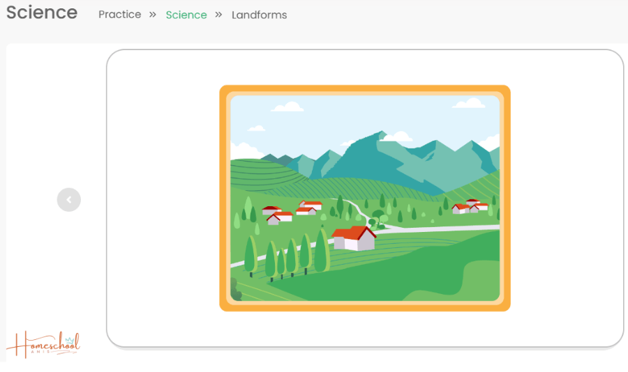 flashcard